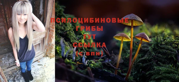 круглые Алексин
