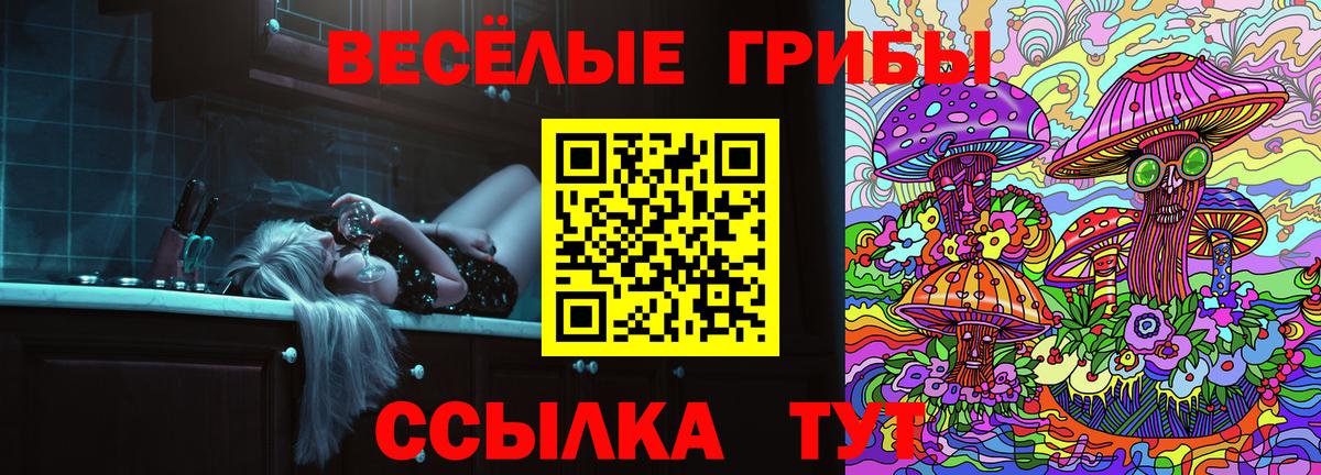 Псилоцибиновые грибы Cubensis  Вход с VPN  Елизово 
