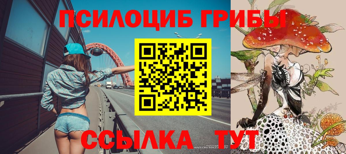 Псилоцибиновые грибы мухоморы Елизово